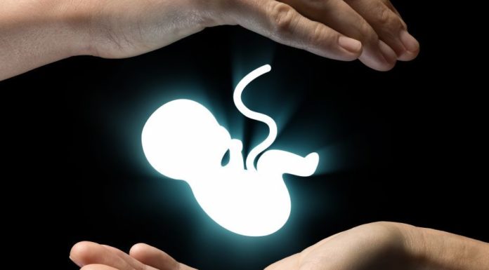 No se aprueba interrupción legal del embarazo en Hidalgo