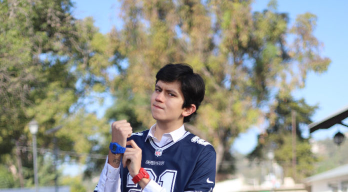 Toon Laguna: El comienzo de una larga historia.