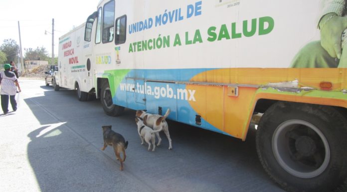 CAMPAÑAS DE ESTERILIZACIÓN CANINA Y FELINA