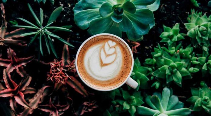 EL CONTROVERSIAL AROMA DEL CAFÉ