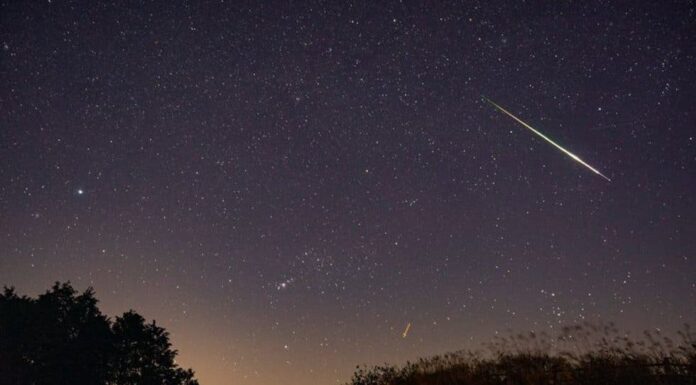 Comienza la lluvia de estrellas más esperada del año