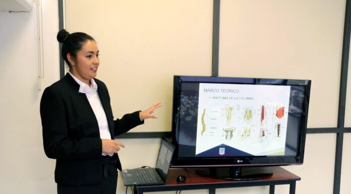 Cuerpos Académicos de la UPP trabajan en 41 líneas de investigación