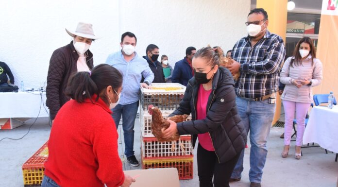 El Gobierno Municipal de Tula de Allende entrega 179 paquetes de aves de postura.