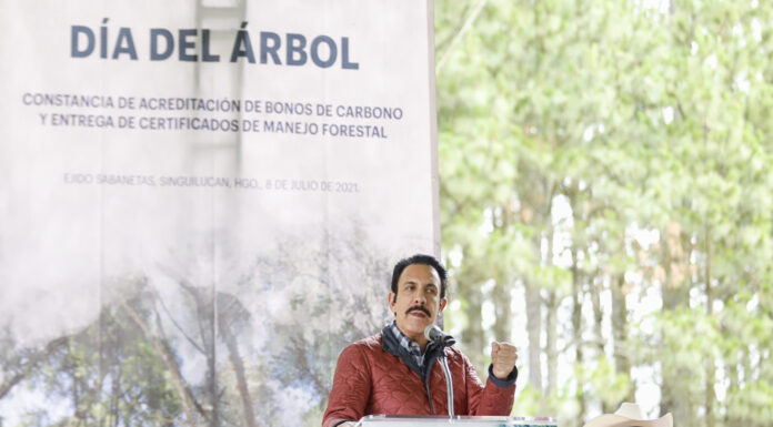 SILVICULTORES RECIBIERON CERTIFICACIONES POR EL MANEJO SUSTENTABLE DEL MEDIO AMBIENTE