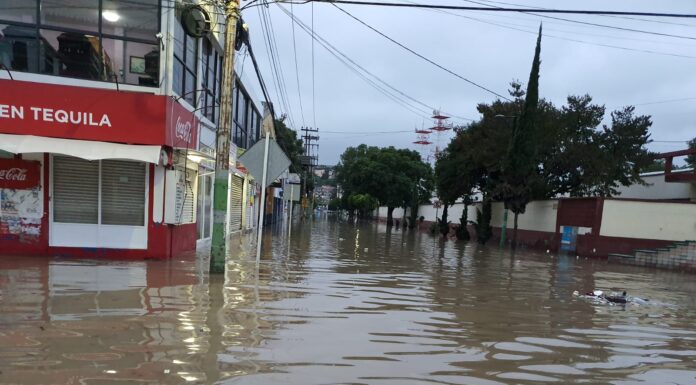 TULA: ¿CÓMO PUEDEN VIVIR ASÍ?