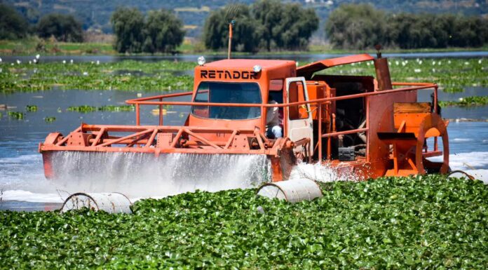 TULA EMPRENDE CRUZADA PARA ERRADICAR LA PLAGA DEL LIRIO DE LA PRESA ENDHÓ