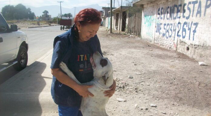 MUJER TULENSE Y ACTIVISTA EN CONTRA DEL MALTRATO ANIMAL: “POR NUESTROS HERMANOS SIN VOZ”