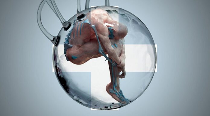 La deshumanización del hombre. ¿Qué es alguien humanizado?