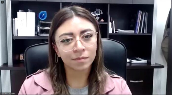 Sostiene IEEH reunión virtual con integrantes de los 18 Consejos Distritales Electorales