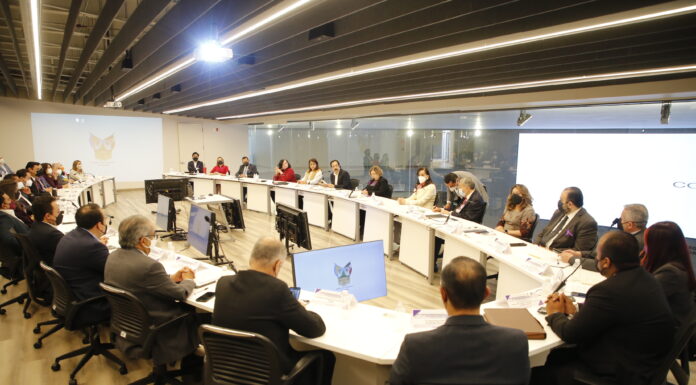 ABATIR ÍNDICES DE VIOLENCIA CONTRA MUJERES Y MEJORAR SU CALIDAD DE VIDA, OBJETIVO INSTITUCIONAL