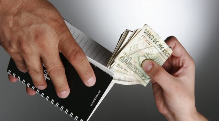 LA CORRUPCCIÓN Y LA TRANSPARENCIA