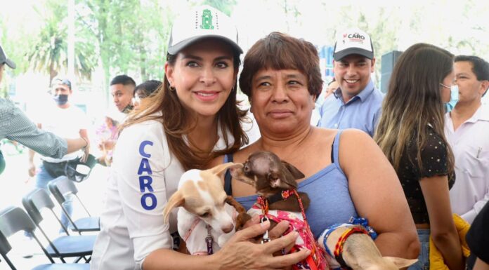 MI GOBIERNO TRABAJARÁ POR EL BIENESTAR ANIMAL: CAROLINA VIGGIANO