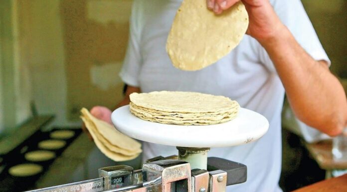 Precio del kilo de tortilla podría subir a partir de agosto