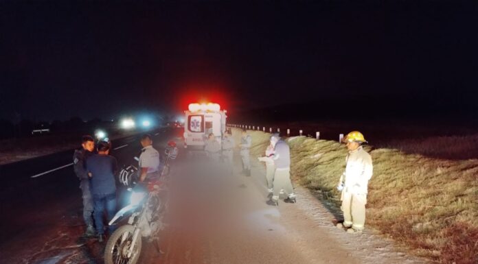 Muere atropellado estudiante de la UPP