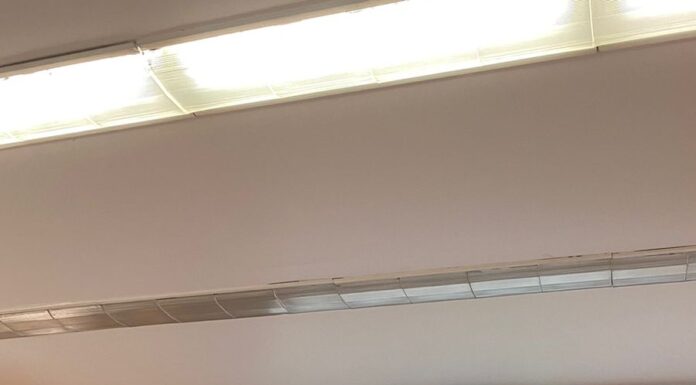 Nuevo libro de Saúl Basurto Hernández, investigador y académico tulense en la UNAM.