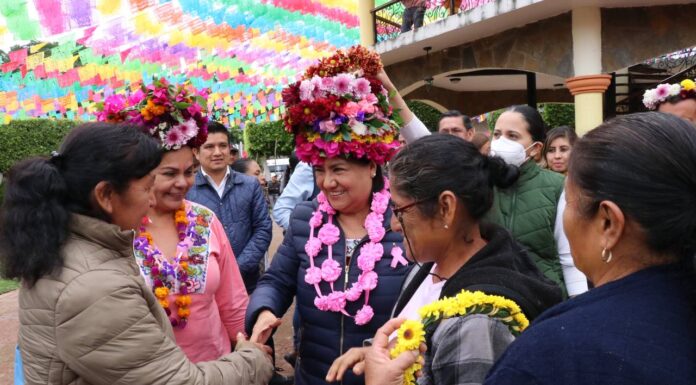 Edda Vite inicia la distribución de cacao en la huasteca