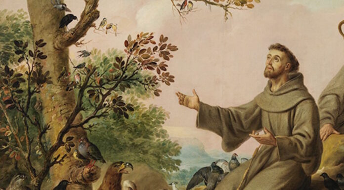 4 de Octubre, día de fiesta en Hidalgo ¿Quién fue San Francisco de Asís?