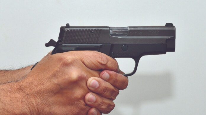 0323pistola5-1149205