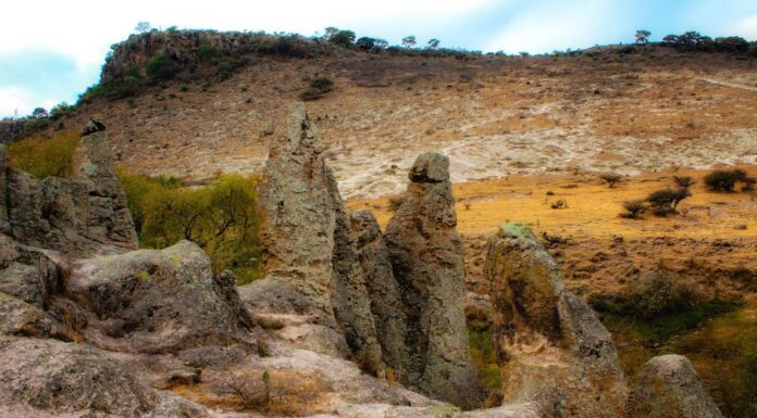 Los otros gigantes de Tula: Los Órganos de Santa María Macúa