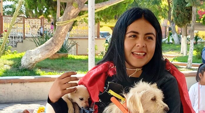 Así se vivió el primer Perrotón en Tepetitlán, Hidalgo