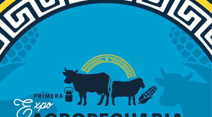 Invitan a participar en la primera Expo Agropecuaria Tula 2022