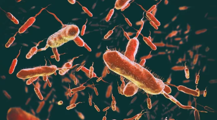 Ante el aviso epidemiológico de cólera en Haití, SSH fortalece estrategia preventiva