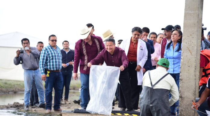 Menchaca: basta de abandono y despojo a campesinos