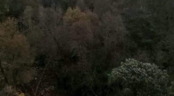 Camión choca contra tráiler y se va a un barranco en la México-Puebla