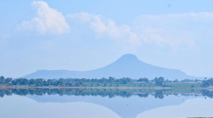 Combaten el lirio acuático en la presa Endhó