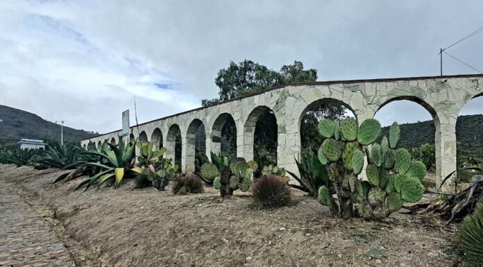 INVITA SEMARNATH A FESTEJAR 20 AÑOS DEL PARQUE ECOLÓGICO CUBITOS