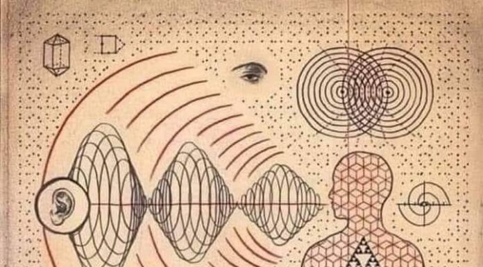 7 COSAS QUE AFECTAN TU FRECUENCIA VIBRATORIA DESDE EL PUNTO DE VISTA DE LA FÍSICA CUÁNTICA.