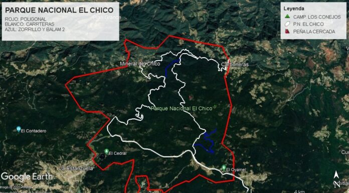 Sin afectaciones en área natural por evento deportivo en Mineral del Chico