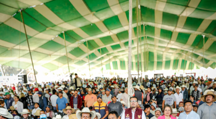 Los recursos del programa de reemplacamiento serán destinados a la obra pública municipal: JMS