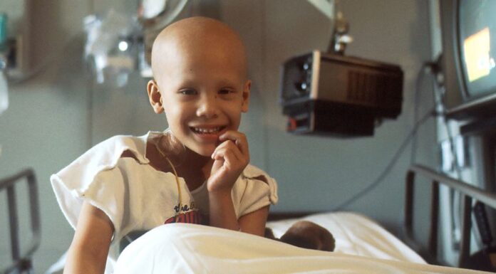 El crimen, organizado