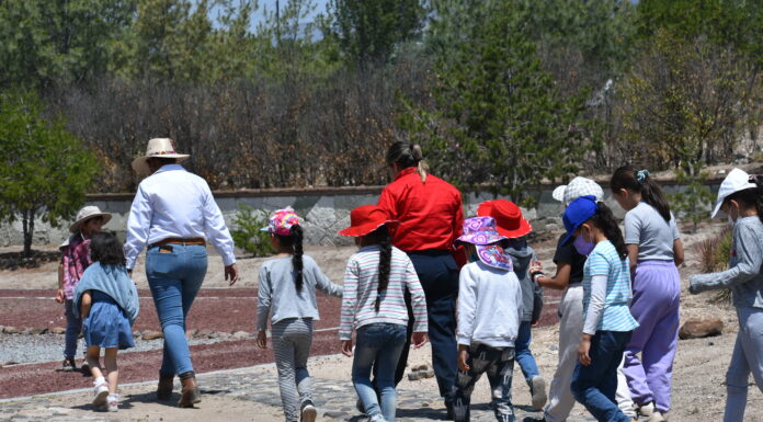 Impulsan acciones para mitigar impacto de la temporada de ozono