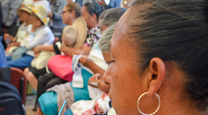 Registros de marca de muñeca Nxutsi, cancelados por impedimento legal