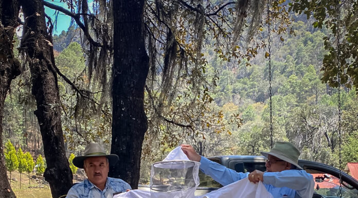 Estamos rompiendo esquemas en materia de infraestructura: Menchaca Salazar