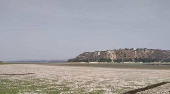 PRESA REQUENA: UN NUEVO DRAMA ECOLÓGICO EN HIDALGO