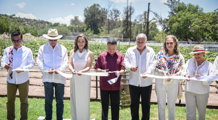 Menchaca Salazar inaugura viñedo “Tierra y Almas” en Tecozautla