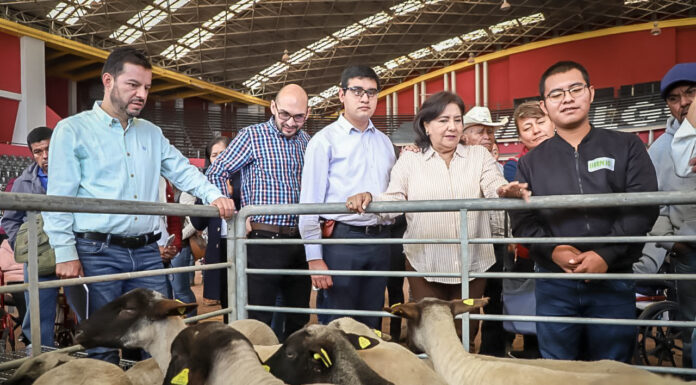 Entrega Edda Vite Proyectos Productivos para Hidalguenses con Discapacidad Permanente
