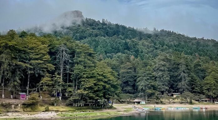 Hidalgo despierta la magia del romance en San Valentín