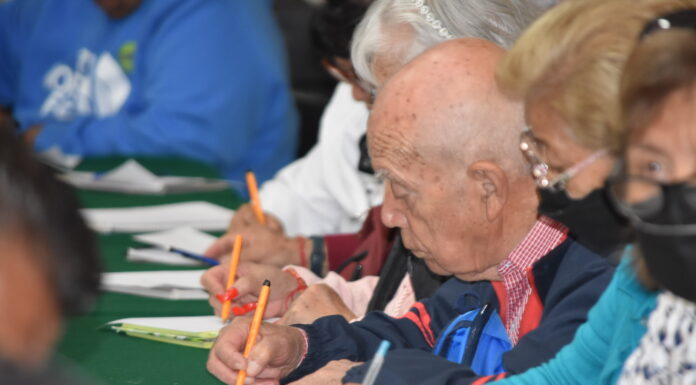 Curso de apoyo terapéutico a personas cuidadoras de adultos mayores