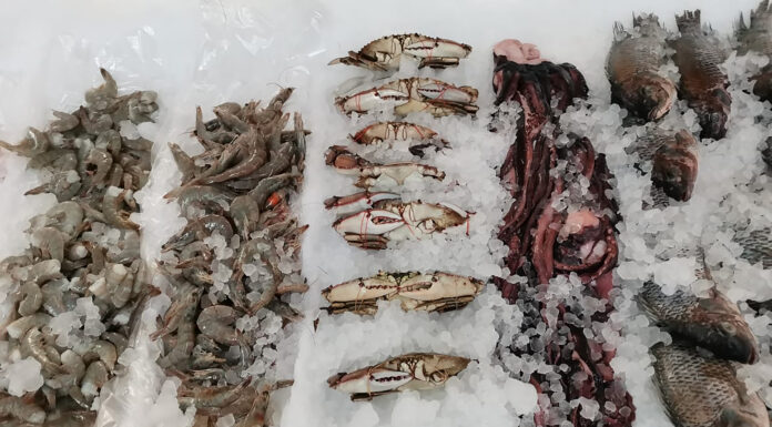 Vigilan prácticas higiénicas en negocios de comida en Hidalgo