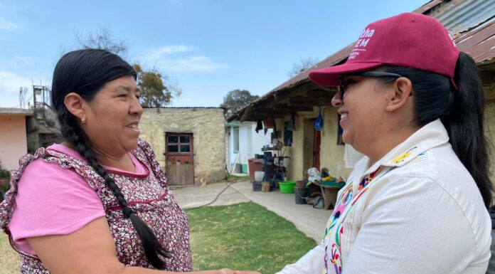 Proyecta Martha Belém vivero de árboles en la comunidad de La Lagunilla