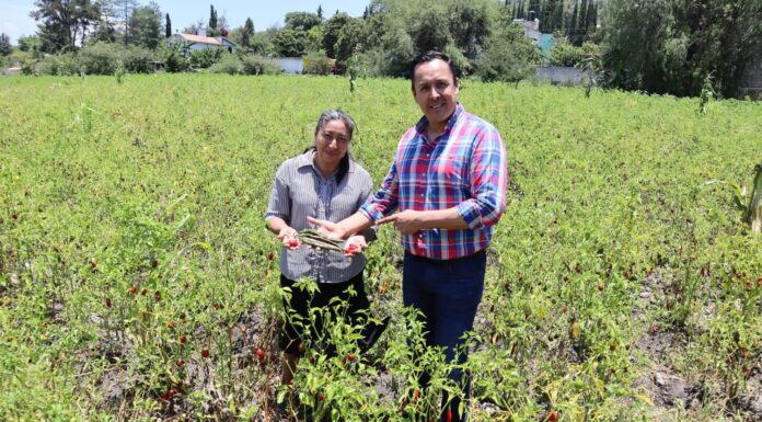 Con un gobierno cercano al pueblo rescataremos al campo en Tula: Cristhian Martínez