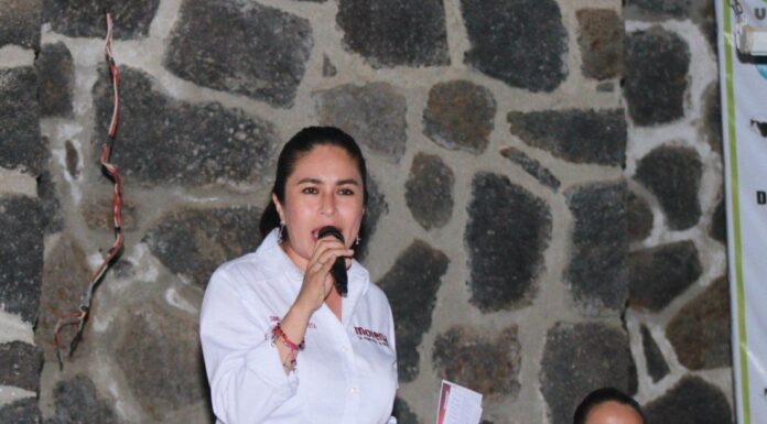 Sin maíz no hay país, debemos tecnificar el campo: Simey Olvera