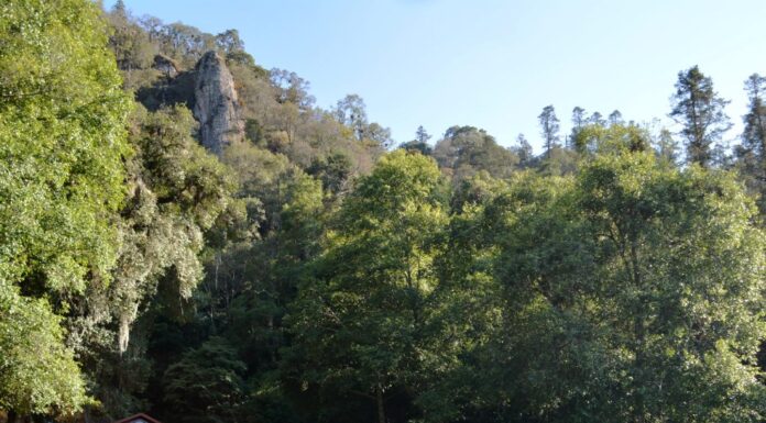 Come en Restaurante «La Montaña» de Mineral del Chico