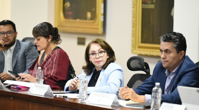 Se aprueba en Comisión los dictámenes enviados por el Senado en materia de Guardia Nacional y pueblos indígenas