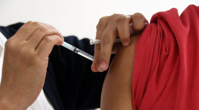 Panorama estatal de influenza