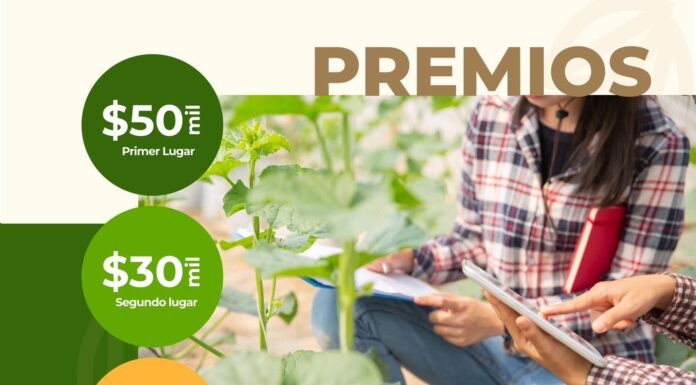 15 de noviembre, se cierra la convocatoria para el Hidalgo Agtech Summit 2024